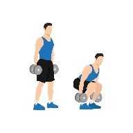 Dumbbell squats